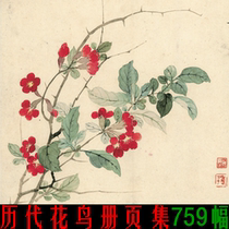 Ancient ink painting Gongbi flowers and birds album high-definition electronic map photo set Copy inkjet decorative design material painting core