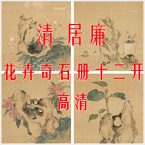 Qingju Lian flower stone book 12 open high-definition electronic version of the picture meticulous painting copy design spray material