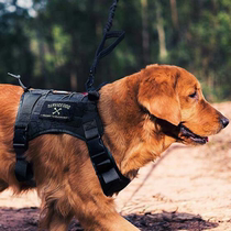 Dog traction rope vest walking dog rope in large dog moral cattle vest anti-explosion punch strap