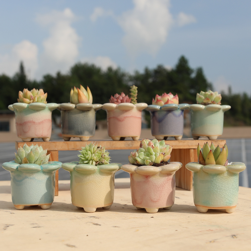 New Style Succulent Flower Pot with Creative and Unique Design, Simple Rainbow Crackle Glaze, Breathable Desktop Mini Flower Vessel