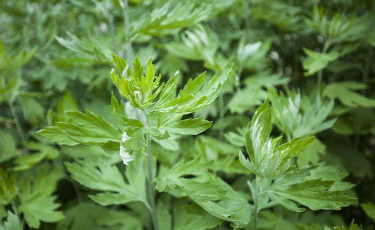 Freight to make up the difference to cross the health platform to redeem points