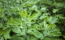 Freight Reprice difference through the health platform Points redemption