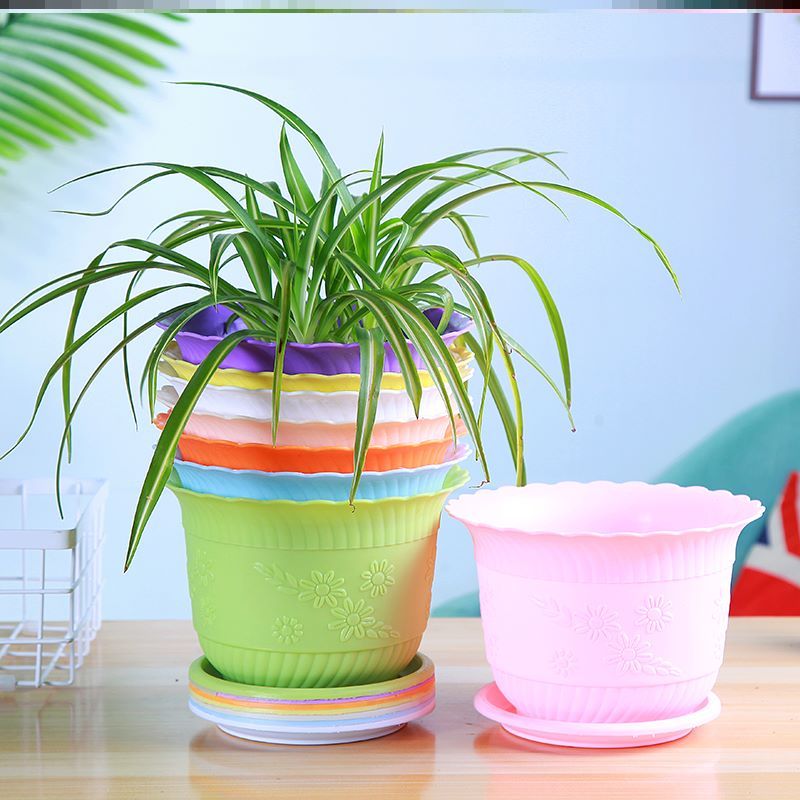 Indoor garden hanging orchid large flower pot large cute golden Ge plastic flower pot Small living room gardening decoration flower plate small