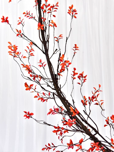 Моделирование осеннего листового виноградного воздуха -кондиционирования труб