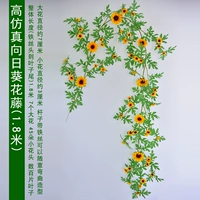 Лоза подсолнечника (1,8 метра)