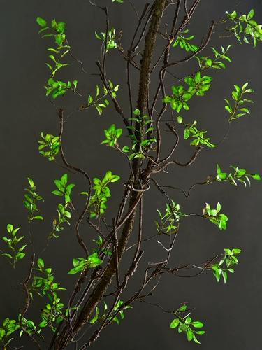 Моделирование осеннего листового виноградного воздуха -кондиционирования труб