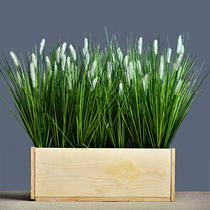 Simulation of dog-tailed grass Reed fake flower plastic bouquet dried flower plant green plant decoration potted ground flower trough pendulum