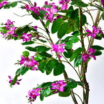 Simulation bauhinia flower branches Fake flowers Decorative flowers Plastic flowers Silk flowers Indoor green plants photo photography props