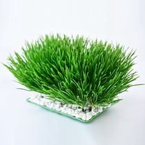 Artificial plants Wheat seedling grass Leek leaves Plastic grass partition placement decorative straw green plant leaves plastic flowers