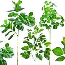 Simulation piano leaf Banyan tree branch leaves Nordic simulation plant decoration Floor-to-ceiling fake green plant indoor living room potted arrangement