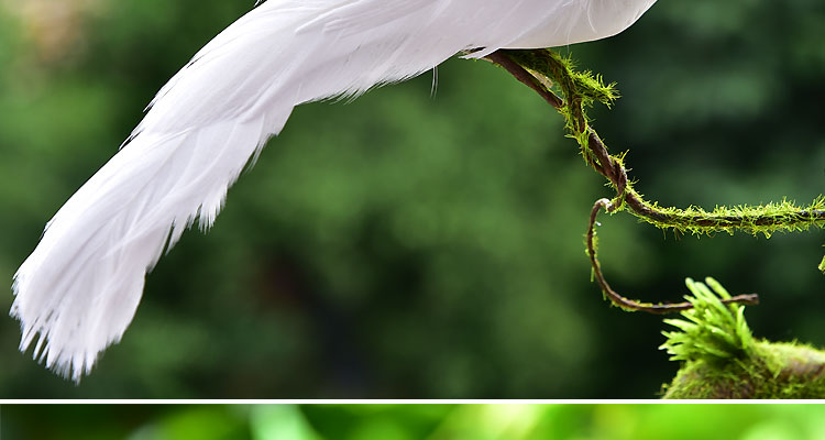 Mô phỏng Bird Bọt Feather Bird Trang trí chim giả Trang trí động vật Dễ thương Pigeon Parrot Bird Nest Bird Nest Wedding các đồ trang trí bàn làm việc