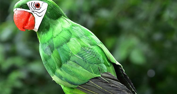Mô phỏng Bird Bọt Feather Bird Trang trí chim giả Trang trí động vật Dễ thương Pigeon Parrot Bird Nest Bird Nest Wedding các đồ trang trí bàn làm việc