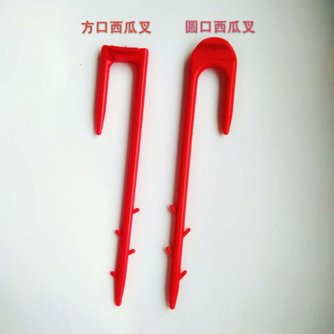 Watermelon Press Cranberries Melon melon melon Melon Strawberry Plant Press Cranberry Canon Land Membrane Fixed Card