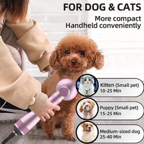 Pet electric hair dryer hot air comb one-click hair removal cat and dog hair blowing comb drying artifact high-power quick drying