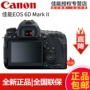 Canon / Canon EOS 6D Mark II chụp ảnh du lịch full frame Máy ảnh kỹ thuật số DSLR 6D2 thân máy đơn - SLR kỹ thuật số chuyên nghiệp máy ảnh chống nước