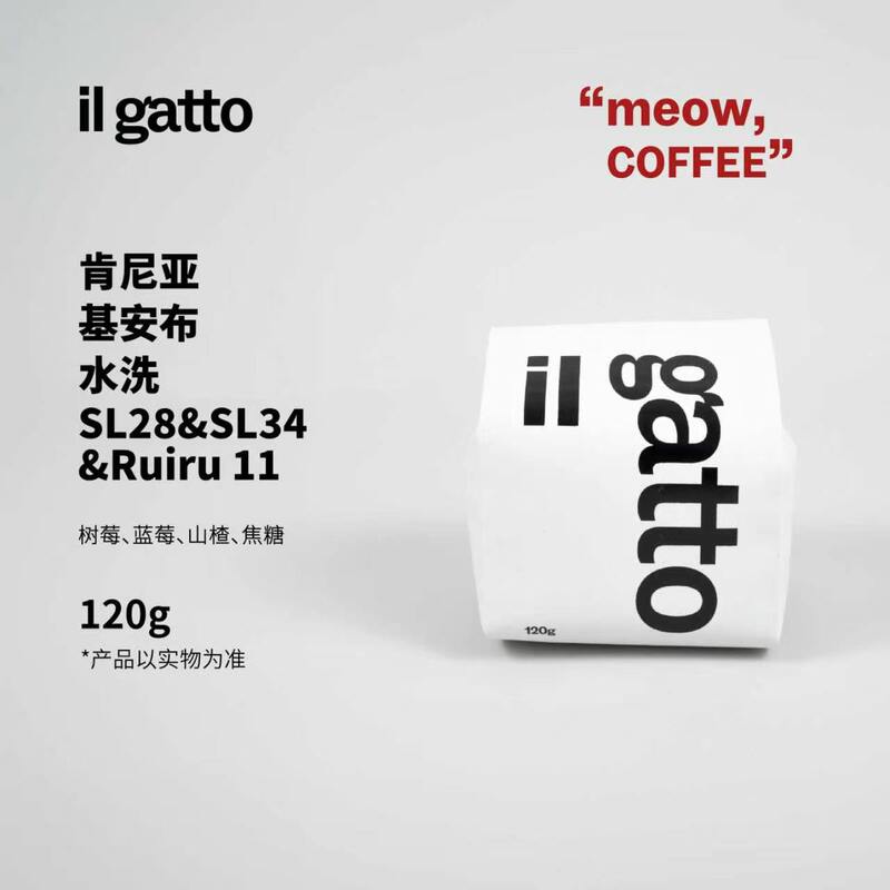 Ilgatto Kenyan Kiambu Washed Freshly Roasted Hand-Brewed Coffee Beans