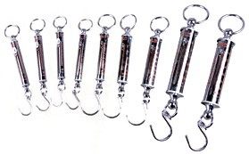 Changshu LTZ Tubular Dynamometer Newton Tensile Tensile Gauge Tubular Tensile Force Gauge 200N Spring Tensile Gauge