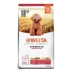 Nếm thử thức ăn cho chó VIP Teddy đặc biệt thức ăn cho chó thức an cho chó bao 10kg Chó Staples