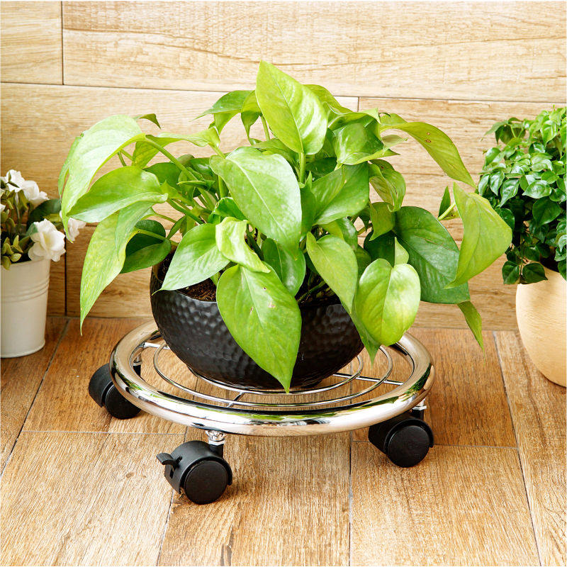 ŷ�����ƶ�Բ�μӴ����ջ���109862