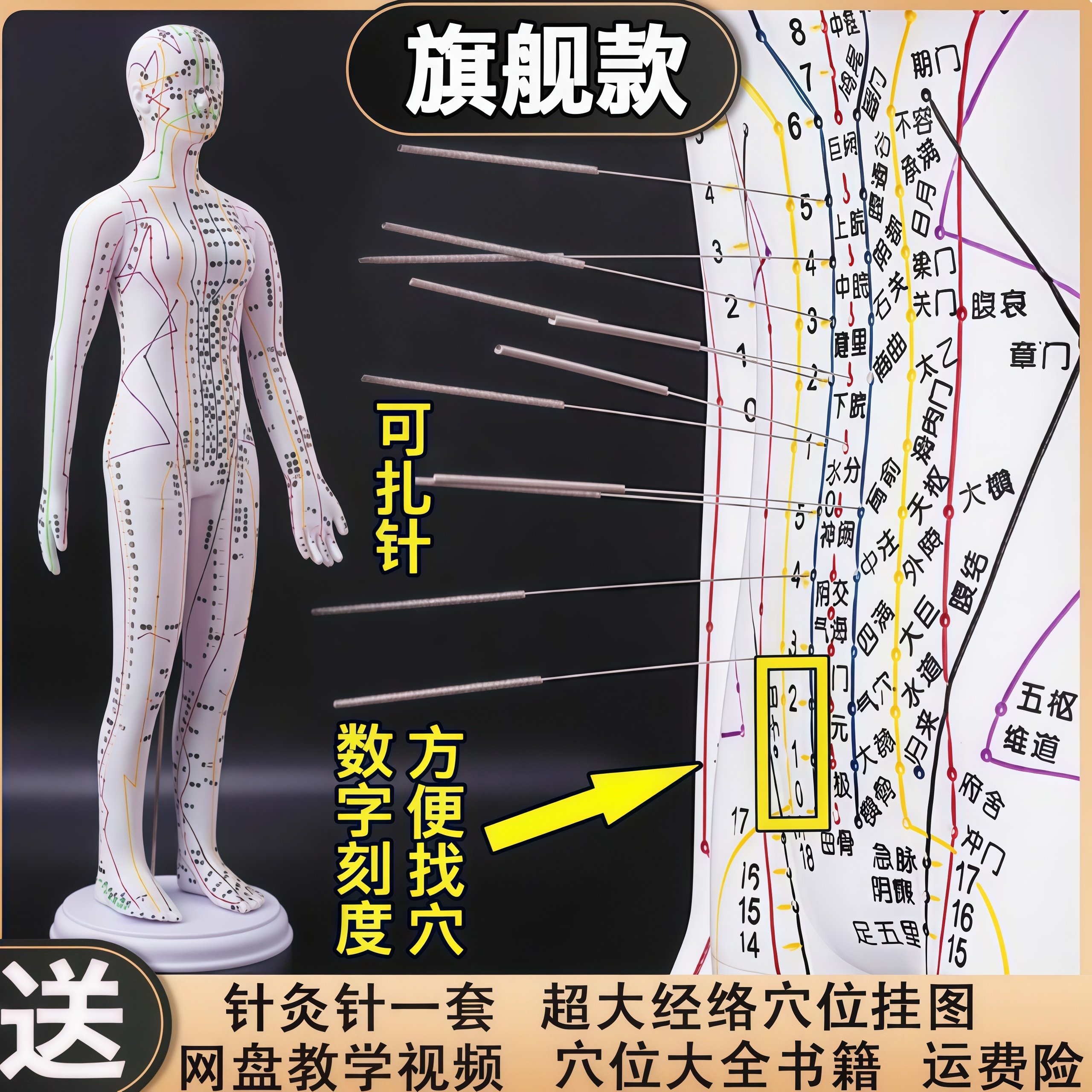 医针灸经络人体模型穴位全身图十二铜人仿真人形硅胶可扎针小皮人