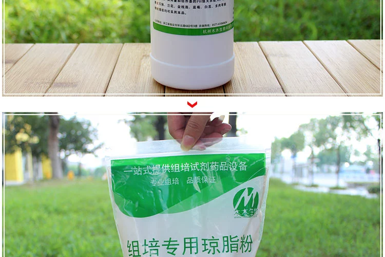 Nguồn cung cấp vườn agar bột Agar Acacia bột lạnh ngày bột mô nuôi cấy thuốc thử thuốc vừa đông máu chậu trồng rau