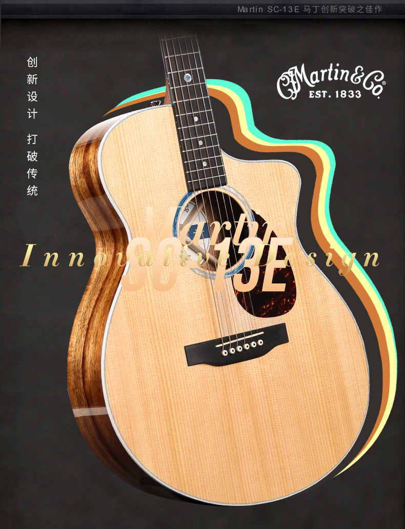 Мартин D10E_13.jpg