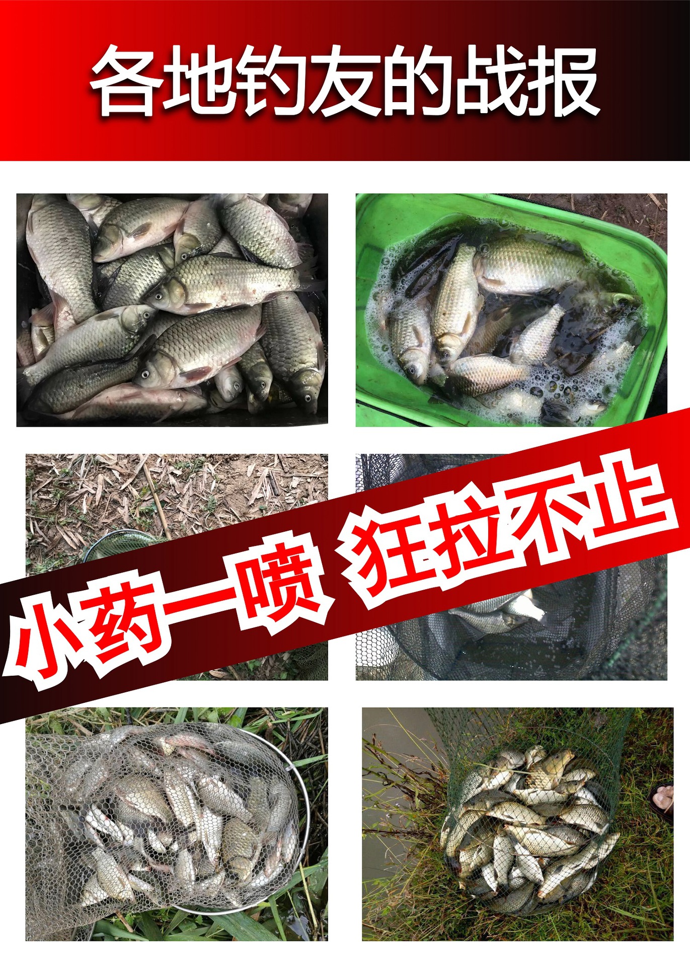 千里香钓鱼小药鱼饵料鲫鱼专用冬季野钓黑坑草鲤鱼果酸添加诱鱼剂