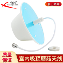 Cell Phone Signal Amplifier Intérieur Saspiration Top Antenna Indoor Mushroom Head WF Indoor Omnidirectionnel Retransmission Antenna