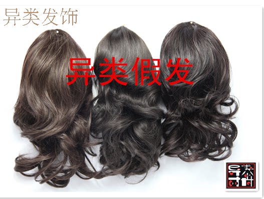 Extension cheveux - Chignon - Ref 249220 Image 5