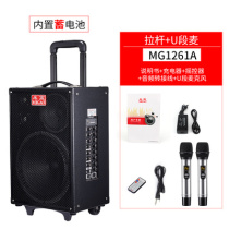 Michael MG 1261A Saxo Outdoor Singing Guitar Singer Sound Street Charging Sound