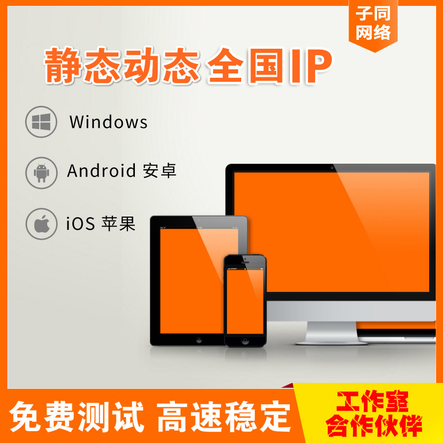 Domestic mobile phone computer server rent static IP dynamic IP proxy PPTP L2TP replacement software