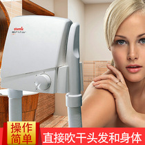 Chidamei starmix home commercial hotel bathroom wall-mounted dry skin dry hair dual-use hair dryer TB80