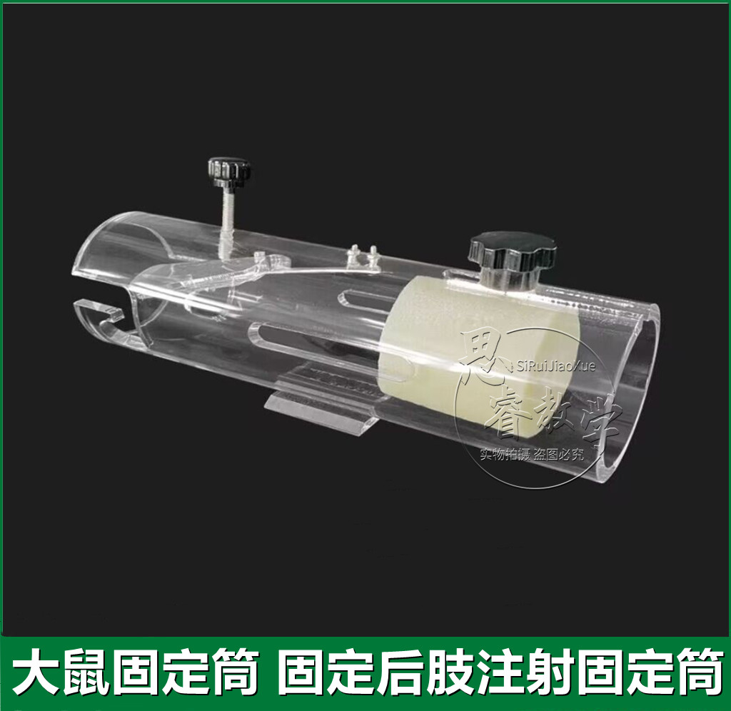 大鼠后肢固定器 大白鼠固定筒 老鼠固定器  特大号老鼠后肢固定器