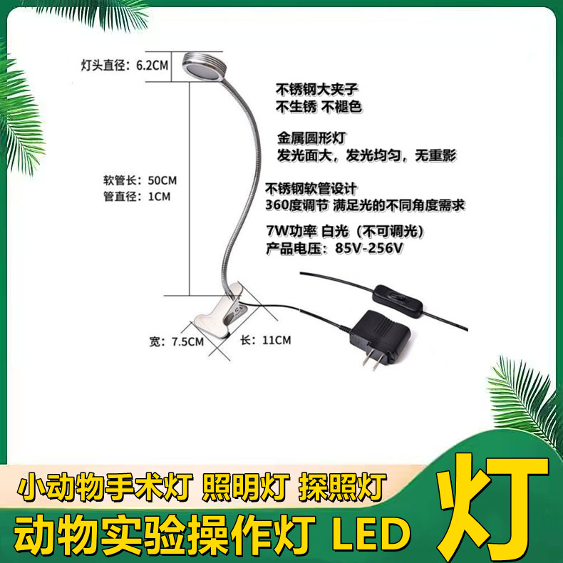 大鼠解剖手术灯 实验 小鼠LED灯 小动物照明灯 老鼠实验探照灯