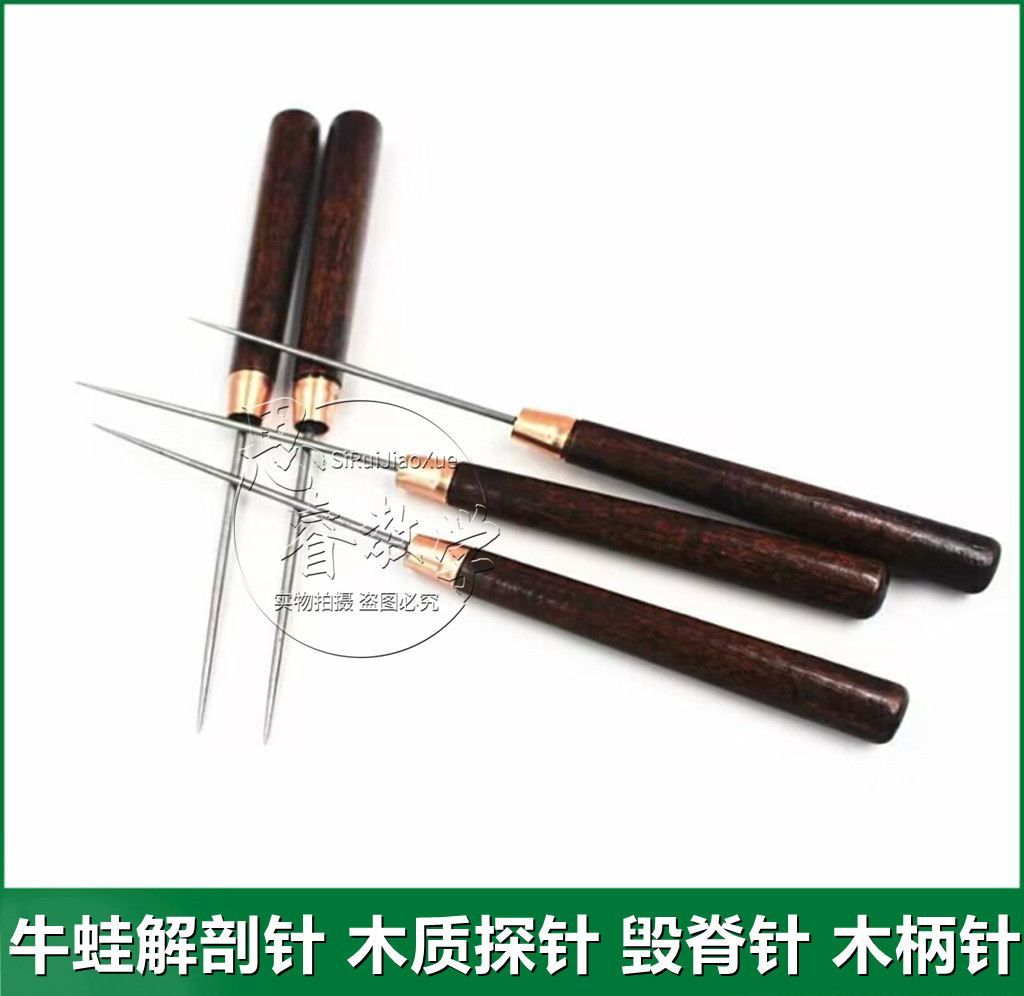 青蛙牛蛙解剖针 木质探针 毁脊针 木柄针 刺蛙针 木病探针 蛙板
