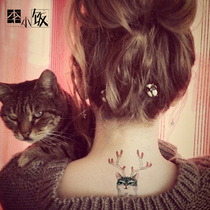 Li Xiaopan classical romantic hipster literary tattoo stickers for you swimming life is more interesting