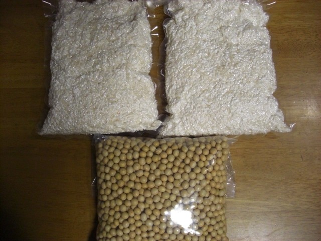 长白菌 <wbr>日本米曲霉 <wbr>种曲20克用于自制盐曲 <wbr>味噌 <wbr>甘酒