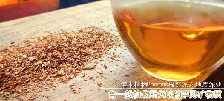如意波斯茶 <wbr>博士茶 <wbr>南非国宝茶
