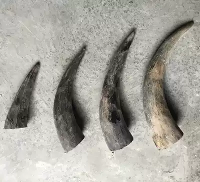 Horn tip raw material solid yak horn beads massage raw material natural yak horn horn DIY raw material