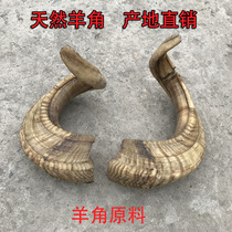 Natural Sheep Horn Raw Material Scraping Plate Sheep Horn Comb Raw Goat Corner Raw Traditional Chinese Medicine Pendulum DIY ornament