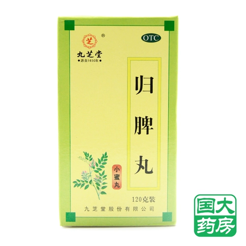 九芝堂 Guipi Pill 120G