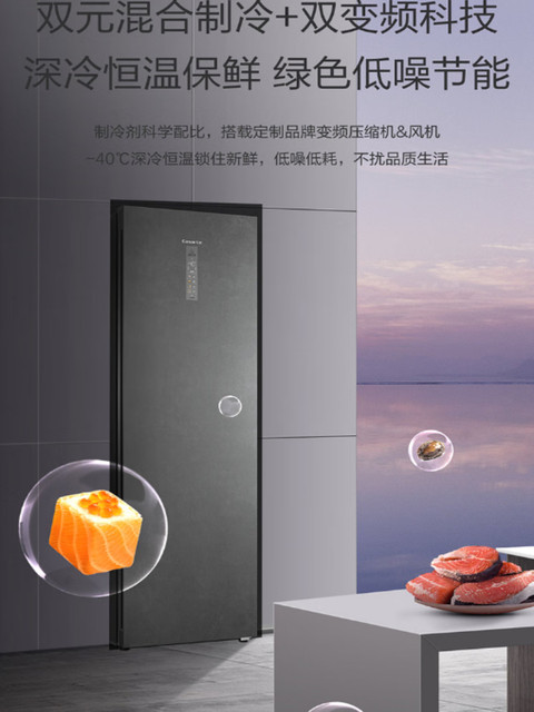 Casarte 331 Refrigerator Vertical Freezer Bd-331Wegau1-288Wgcwnu1-285Wgceru1