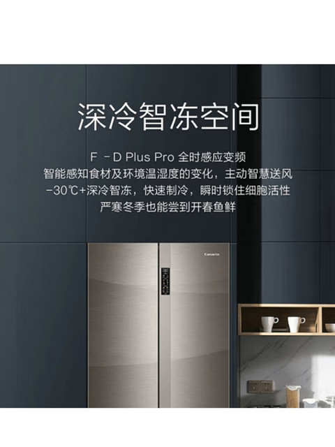 Casarte 550/551 Zero-Embedded Refrigerator Bcd-550Wgcfdm4S5U1-551Wlctdm4S5U1 Bola