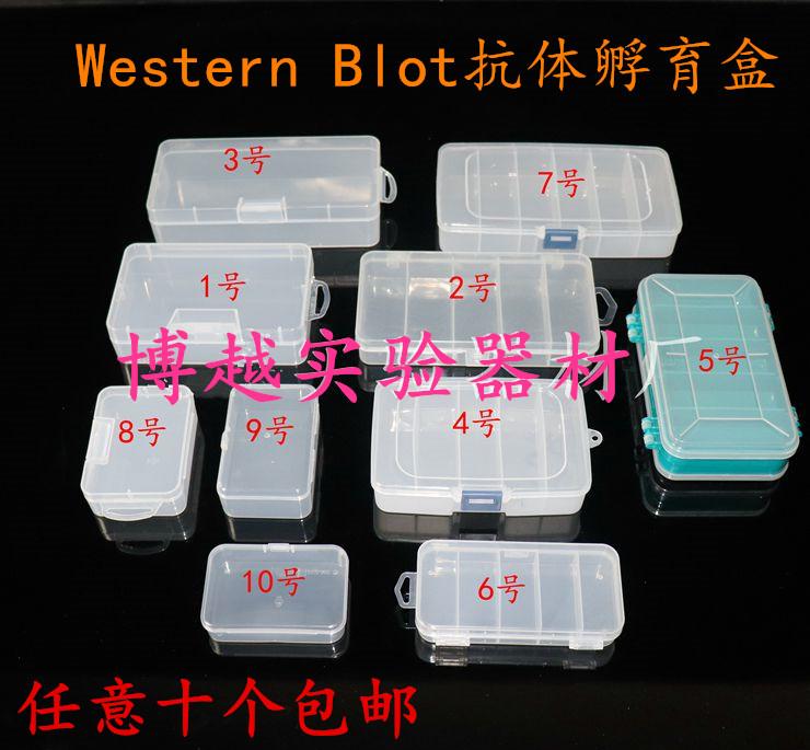western blot抗体孵育盒 wb抗体孵育 免疫组化湿盒 各种规格齐全