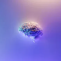 MULAND创意设计的头像-婚礼素材网