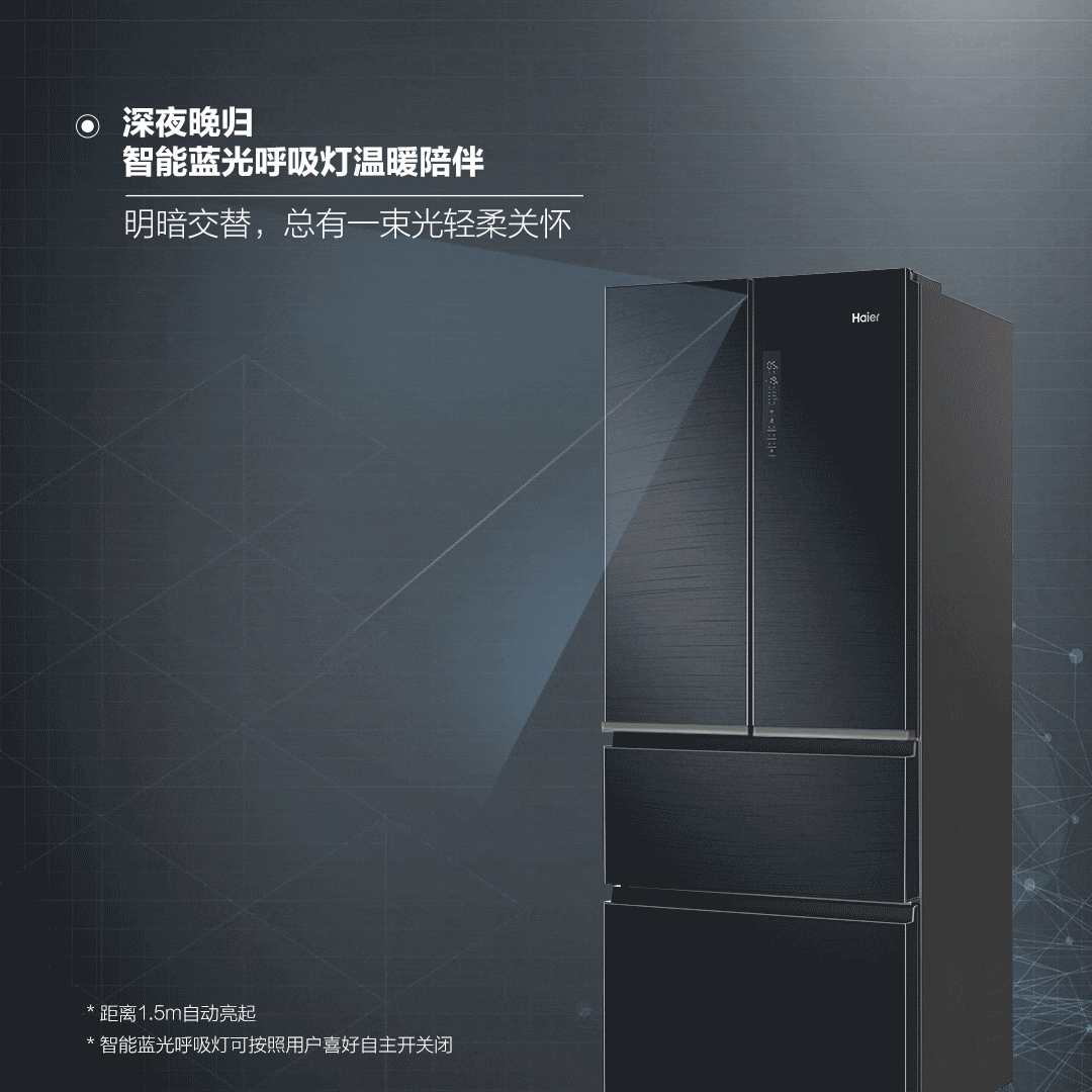 海尔 变频风冷 一级能效 法式多门电冰箱 411L 图7