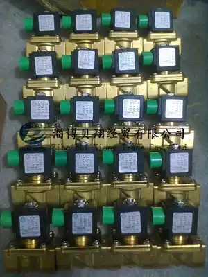 Italian ODE solenoid valve explosion-proof two two-way valve 21A2QF25 24DC spot