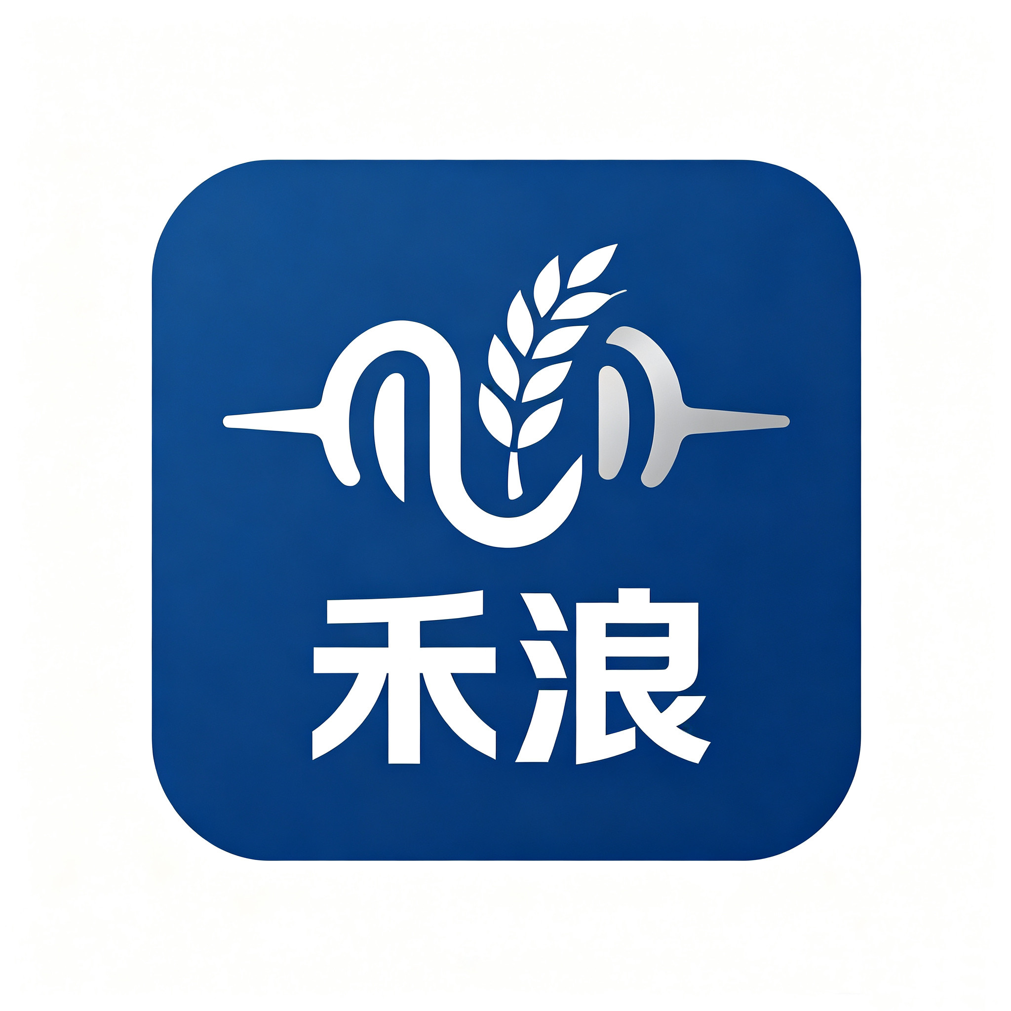 禾浪音响店