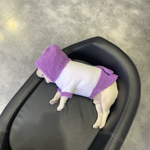 Домашние собаки осень и зимний свитер Фато Бабага Британская боевая одежда Тедди Корки Медведь Чай Плюш Хлопко