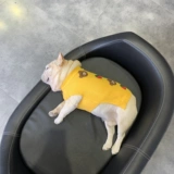 Демисезонный морковный трикотажный свитер без рукавов